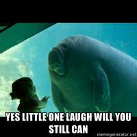 Overlord Manatee