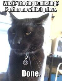 LOLcats