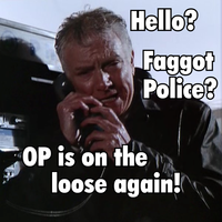 OP is a Faggot
