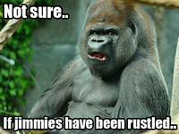 That Really Rustled My Jimmies