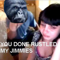 That Really Rustled My Jimmies
