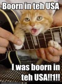 LOLcats