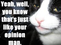 That's just like, your opinion, man