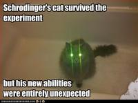 Schrodinger's Cat