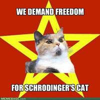 Schrodinger's Cat
