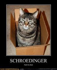 Schrodinger's Cat