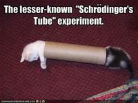 Schrodinger's Cat