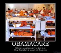 U.S. Healthcare Reform / Obamacare