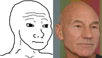 I Know That Feel Bro