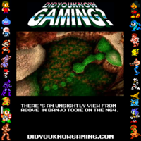 Did You Know?