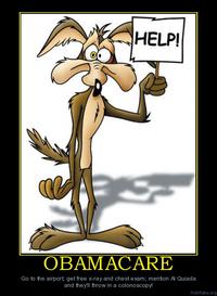 U.S. Healthcare Reform / Obamacare