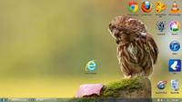 Internet Explorer