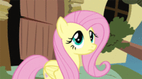 Pony Reactions