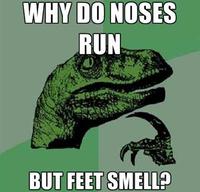 Philosoraptor