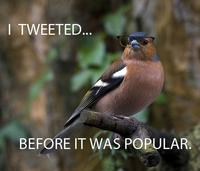 Hipster
