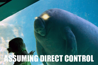 Assuming Control