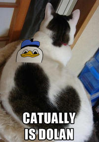 Dolan