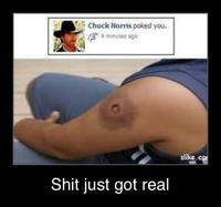 Chuck Norris