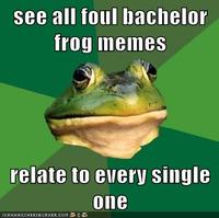 Foul Bachelor Frog