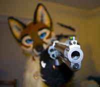 Furries
