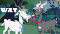 My Little Pony: Friendship is Magic