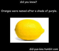 Did You Know?