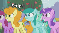 Pony Reactions