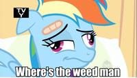 My Little Pony: Friendship is Magic