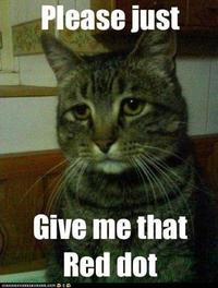 LOLcats