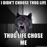 I Didn't Choose The Thug Life, The Thug Life Chose Me