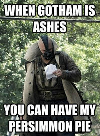 When Gotham is Ashes, You Have My Permission to Die