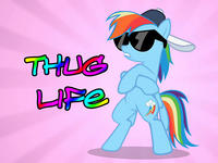 I Didn't Choose The Thug Life, The Thug Life Chose Me