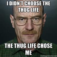 I Didn't Choose The Thug Life, The Thug Life Chose Me