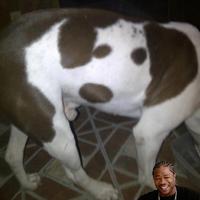 Xzibit Yo Dawg