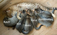 51e.jpg