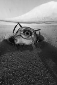 Mars Exploration