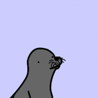 Homophobic Seal