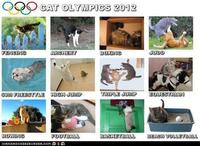 LOLcats