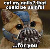 When Gotham is Ashes, You Have My Permission to Die