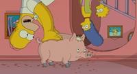 Spider-Pig / Harry Plopper