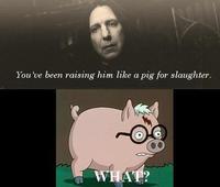 Spider-Pig / Harry Plopper