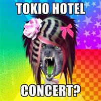 Scene Wolf