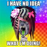 Scene Wolf