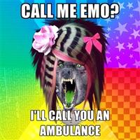 Scene Wolf