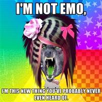 Scene Wolf