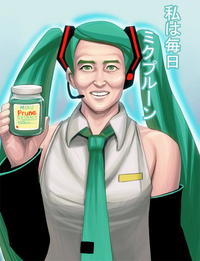 Hatsune Miku / Vocaloid