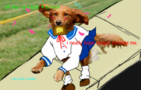 I Hope Senpai Will Notice Me