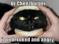 LOLcats