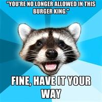 Lame Pun Coon