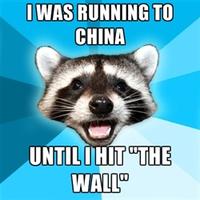 Lame Pun Coon